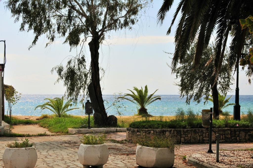 Seaside Studios Paralia Dionysiou Ngoại thất bức ảnh